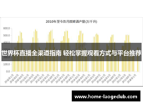 世界杯直播全渠道指南 轻松掌握观看方式与平台推荐