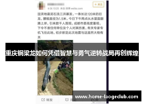 重庆铜梁龙如何凭借智慧与勇气逆转战局再创辉煌 重庆铜梁龙如何凭借智慧与勇气逆转战局再创辉煌