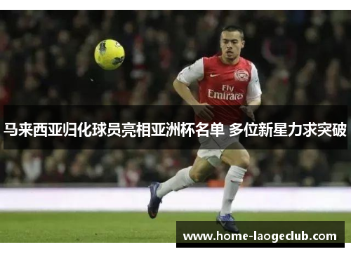 马来西亚归化球员亮相亚洲杯名单 多位新星力求突破