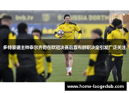 多特蒙德主帅泰尔齐奇在欧冠决赛后宣布辞职决定引发广泛关注 多特蒙德主帅泰尔齐奇在欧冠决赛后宣布辞职决定引发广泛关注