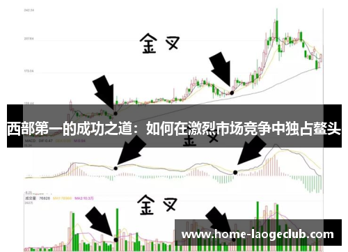 西部第一的成功之道：如何在激烈市场竞争中独占鳌头