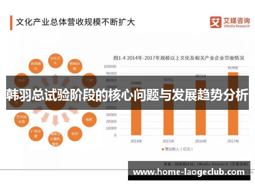 韩羽总试验阶段的核心问题与发展趋势分析 韩羽总试验阶段的核心问题与发展趋势分析