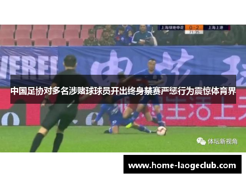 中国足协对多名涉赌球球员开出终身禁赛严惩行为震惊体育界 中国足协对多名涉赌球球员开出终身禁赛严惩行为震惊体育界