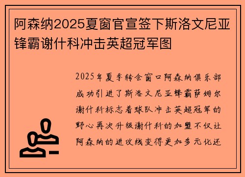 阿森纳2025夏窗官宣签下斯洛文尼亚锋霸谢什科冲击英超冠军图